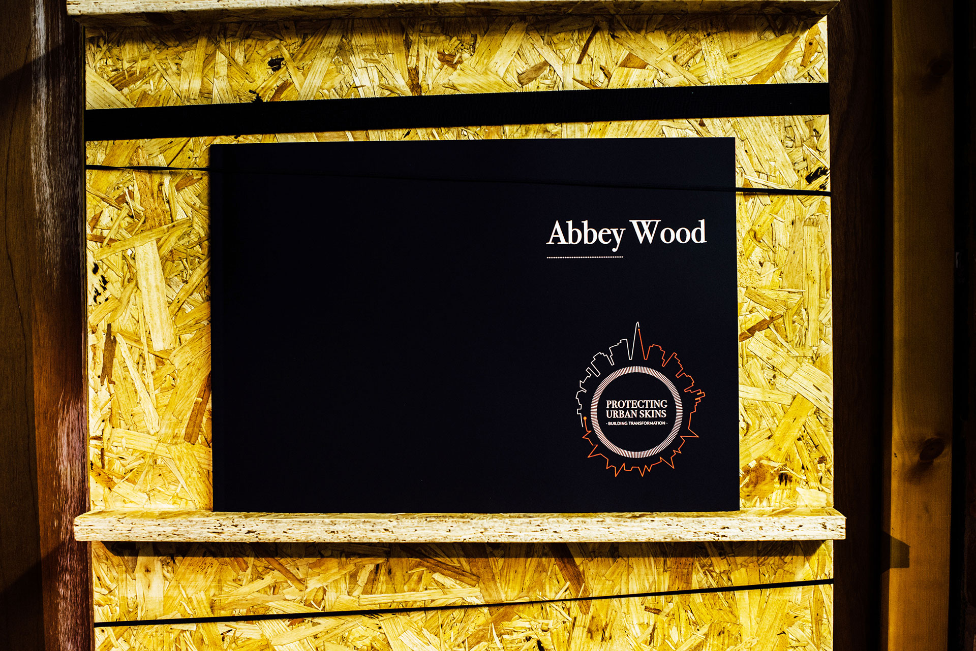 Carillionamey / Abbey Wood Report